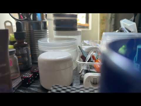 She's back! 08/12/2025